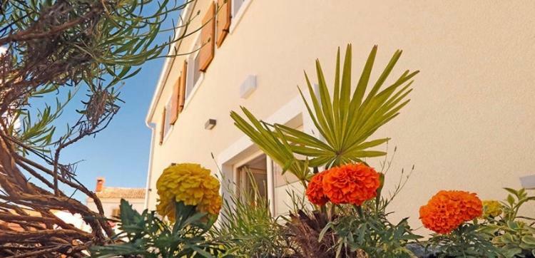 Studio apartman Dado Apartment Bale Bagian luar foto